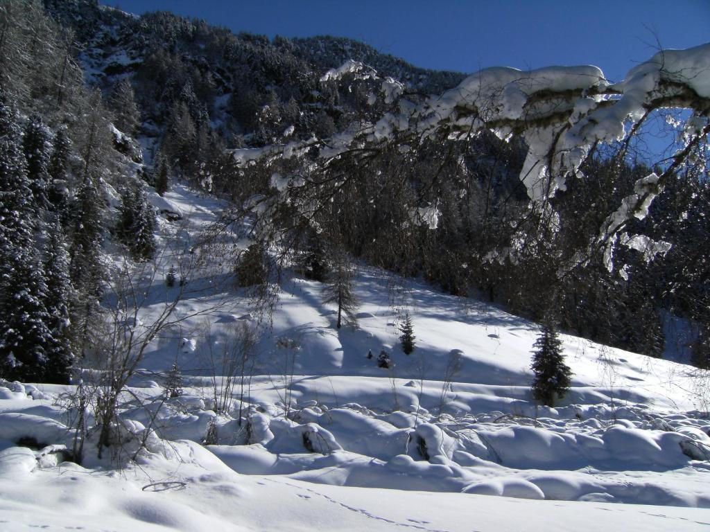 Albergo Thurwieser Santa Caterina Valfurva Kültér fotó